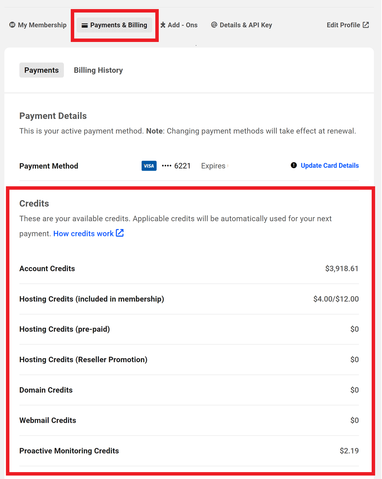 account payment details
