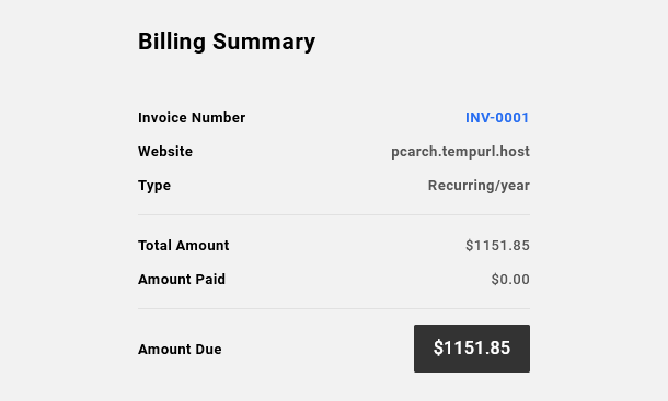 Invoice summary when making payment in Client Billing