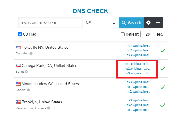 Nameserver changes still propagating