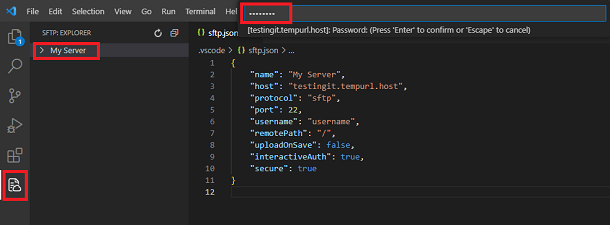 Add the SFTP user password to connect to the server