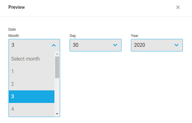 Dropdowns format in a Forminator Datepicker field