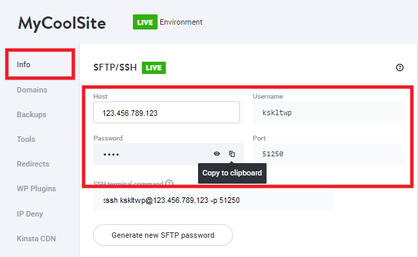 Accessing FTP accounts at Kinsta