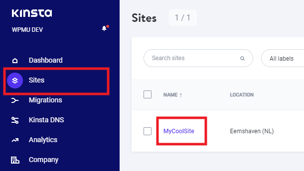 Accessing FTP accounts at Kinsta