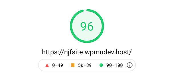 First google pagespeed insights score.