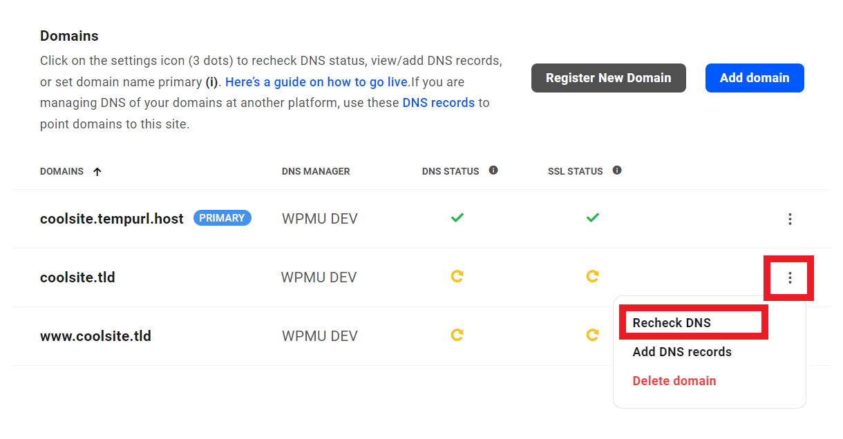 Recheck DNS