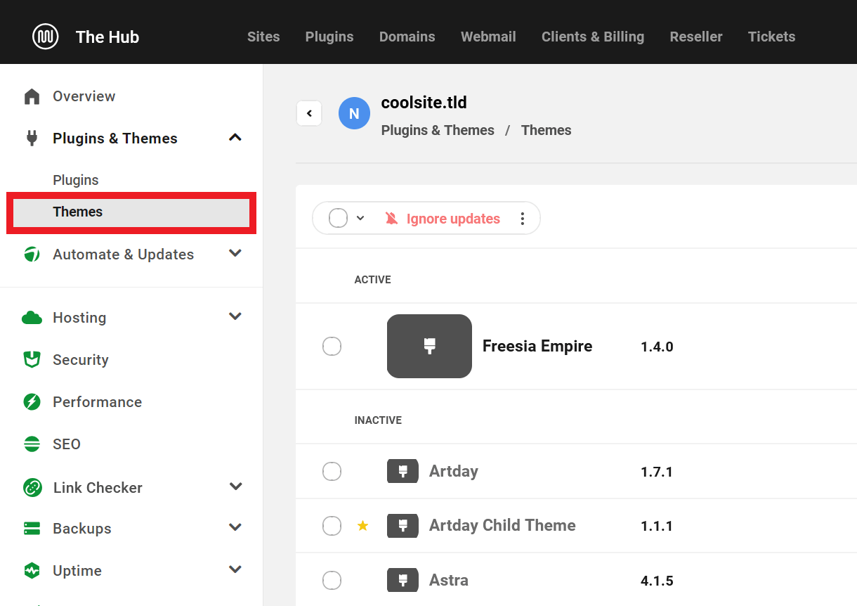 View theme information of a site