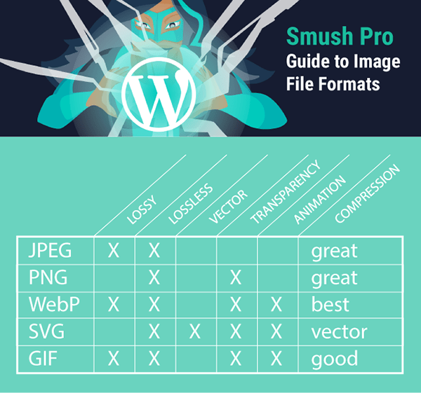 diagram summarizing capabilities for JPEG, SVG, PNG, WebP and GIF