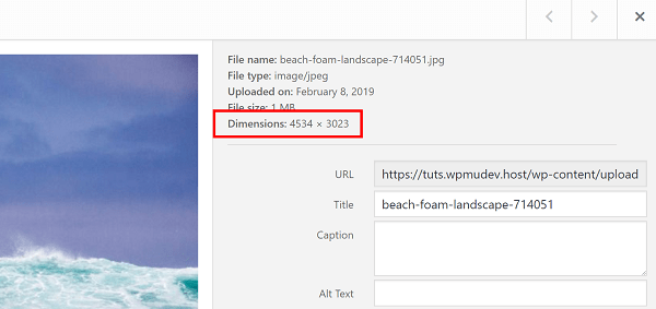 Screenshot of large ocean photo in media library