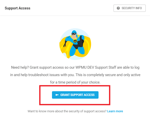 Grant support access in WPMU DEV Dashboard plugin
